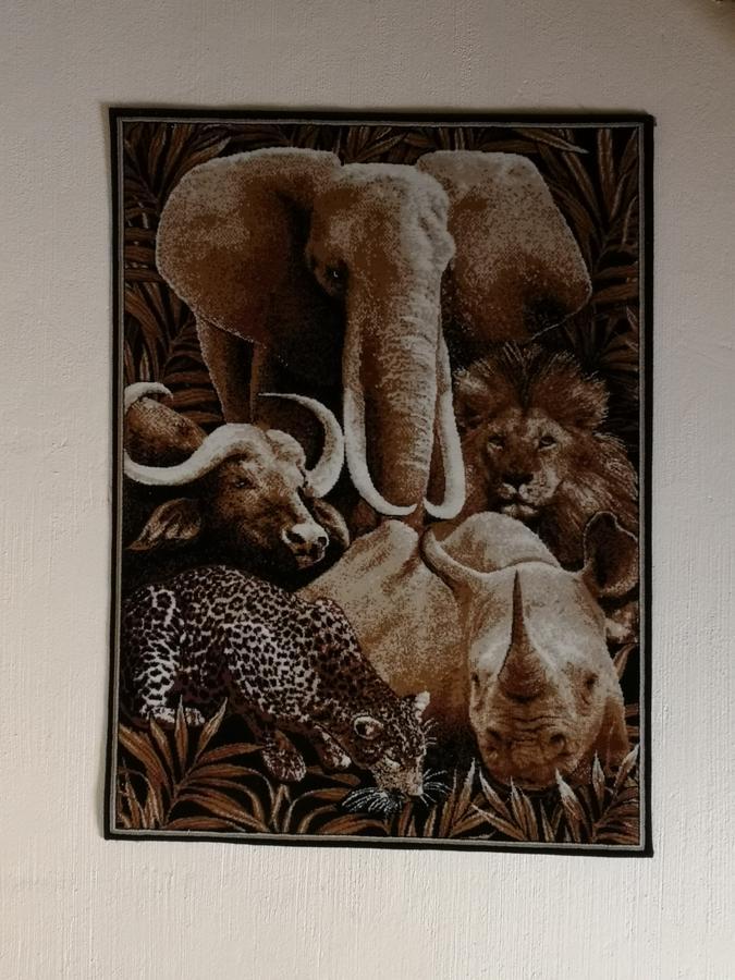 All Over Africa Guest House Kempton Park Bagian luar foto